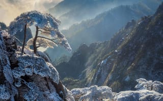 Картинка зима, сосна, дерево, снег, туман, Китай, природа, пейзаж, скалы, горы