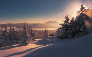 Картинка зима, снег, пейзаж, горы, тени, природа, деревья, утро