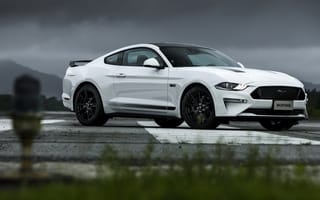 Картинка Ford, GT, Black Shadow, Mustang