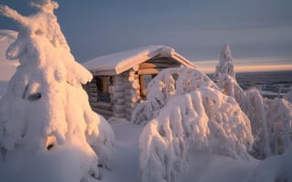 Картинка зима, снег, пейзаж, домик, Андрей Базанов, Лапландия, деревья, природа