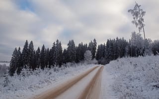 Обои лес, снег, дорога, иней