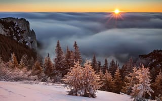 Картинка природа, пейзаж, зима, лучи, рассвет, высота, солнце, леса, горы, скалы, туман, снег, Lazar Ioan Ovidiu