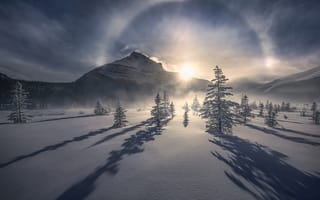 Картинка природа, гора, снег, солнце, тени, зима, ели, Marc Adamus, деревья