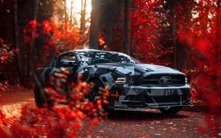 Картинка Ford, осень, Mustang