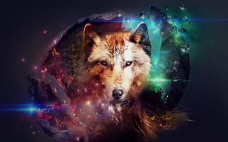 Картинка wolf, Wolves, Predator, Carnivore, Artwork