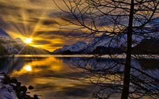 Картинка Швейцария, озеро, деревья, пейзаж, лучи, закат, горы, солнце, зима, природа