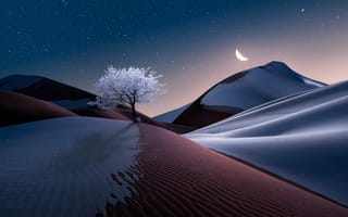 Картинка пустыня, снег, звезды, искусство, art, песок, луна, ночь, дерево