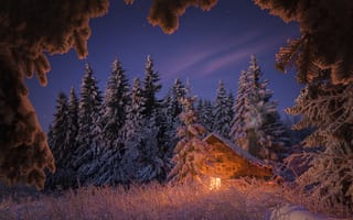 Картинка зима, природа, снег, трава, дом, лес, ели, пейзаж, звёзды, небо, Калин Панчев, свет, вечер, деревья