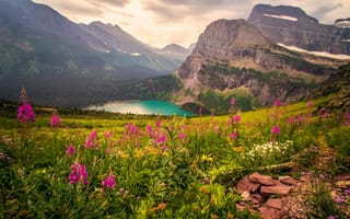 Картинка горы, озеро, цветы