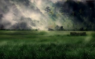 Картинка лес, природа, деревья, туман