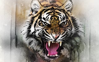 Картинка амурский, взгляд, тигр, рисование, кошка