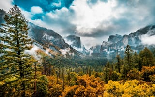 Картинка Лес, Sierra Nevada, Йосемити, Пейзаж, Облака, Калифорния, Природа, Осень, Долина, Деревья