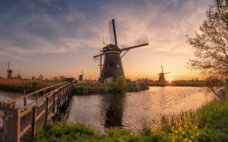 Картинка трава, мостик, мельницы, пейзаж, Киндердейк, деревня, Голландия, природа, утро, Нидерланды, солнце, река, лучи