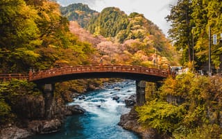 Картинка Япония, Shinkyo Bridge Nikko Daiya River, Мост, Осень, Природа, Лес, Река