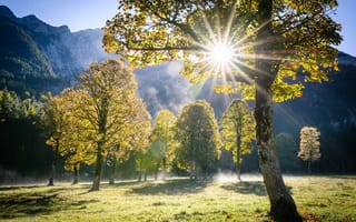Картинка Австрия, Тироль, пейзаж, деревья, лучи, природа, горы, солнце, Альпы