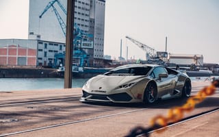 Картинка White, Lamborghini