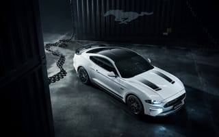 Картинка Grey, Mustang, Ford