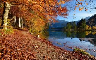 Картинка осень, Австрия, горы, природа, озеро, Альмзе, пейзаж, дорожка, берег, деревья, Almsee