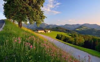 Картинка дорога, природа, Германия, город, горы, Оберасбах, Бавария, дома, пейзаж