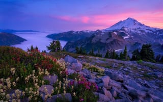 Картинка природа, Washington State, горы, облака, Каскадные горы, утро, цветы, Вашингтон, рассвет, пейзаж, камни, США