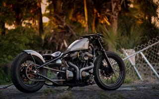Картинка harley davidson, custom, thunderbike