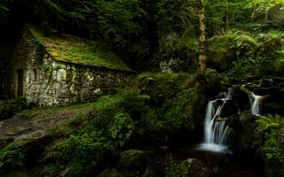 Картинка лес, ручей, Auvergne, водопад, France, Франция, Овернь, дом