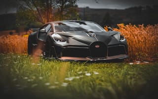Картинка Bugatti, Divo, арт