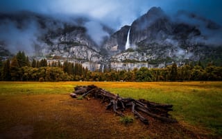 Картинка лес, Национальный парк Йосемити, долина, Калифорния, California, коряга, горы, водопады, Сьерра-Нев, Yosemite National Park
