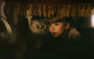Картинка ребёнок, под столом, девочка, животное, кот
