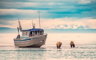 Картинка аляска, рыбалка, медведи
