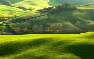 Обои tuscany, green, grass, landscape, sky