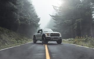 Картинка Ford, F-150, Raptor, дорога, лес