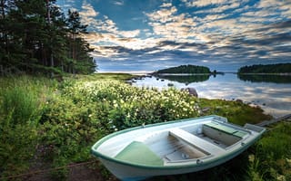 Картинка вода, берег, лодка, пейзаж, природа, травы, Финляндия, деревья