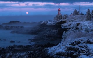 Картинка остров Кампобелло, зима, Канада, камни, растительность, иней, природа, залив, ночь, маяк, луна, пейзаж