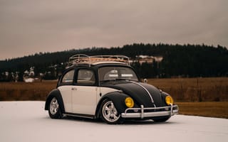 Картинка Volkswagen, Beetle