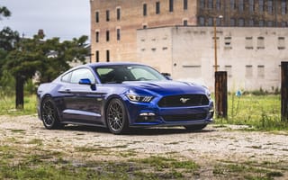 Картинка Ford, Синий, Металлик, Mustang