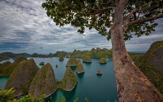 Картинка Индонезия, природа, дерево, скалы, залив, пейзаж