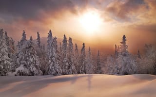 Картинка закат, ели, россия, лес, южный урал, снег, сугробы