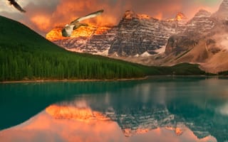 Картинка озеро, небо, птицы