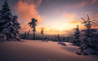 Картинка зима, снег, деревья, сугробы