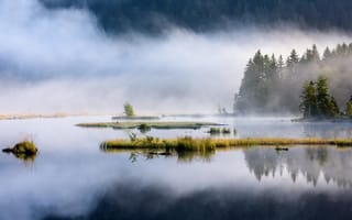 Картинка озеро, туман, лес