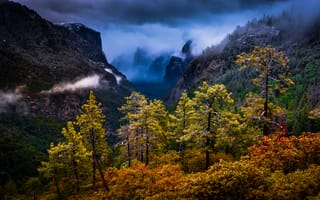 Картинка природа, Sierra Nevada, Сьерра-Невада, пейзаж, деревья, Национальный парк Йосемити, Калифорния, California, Yosemite National Park, горы
