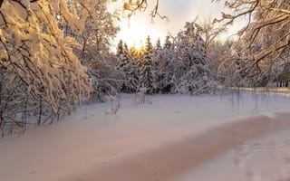 Картинка зима, сугробы, снег, лес