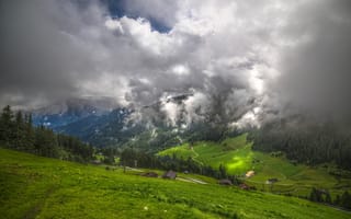 Картинка горы, трава, туман