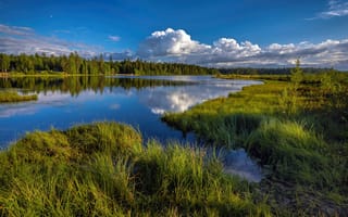 Картинка озеро, россия, трава