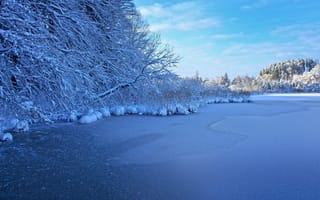 Картинка зима, лёд, лес, снег