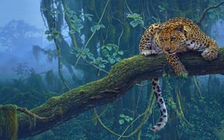 Картинка Животное, леопард