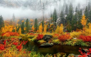 Картинка природа, осень, камни, туман, деревья, речушка, горы, пейзаж