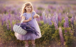 Картинка ребёнок, платье, природа, девочка, поле, лето, люпины, цветы, корзина