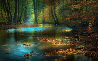 Картинка осень, река, лес
